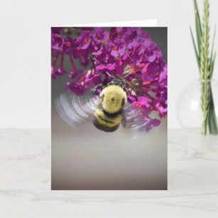 Abeja, tarjeta