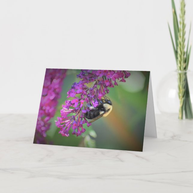 Abeja, tarjeta (Anverso)