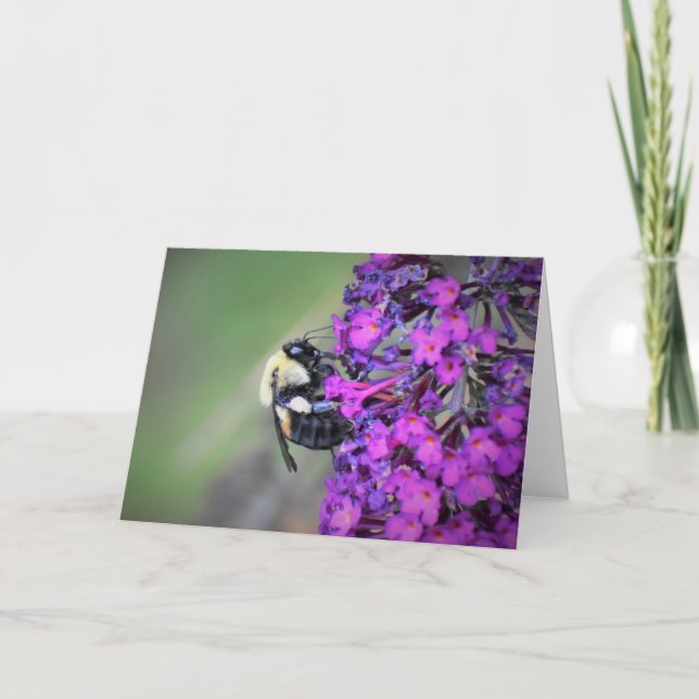 Abeja, tarjeta (Anverso)