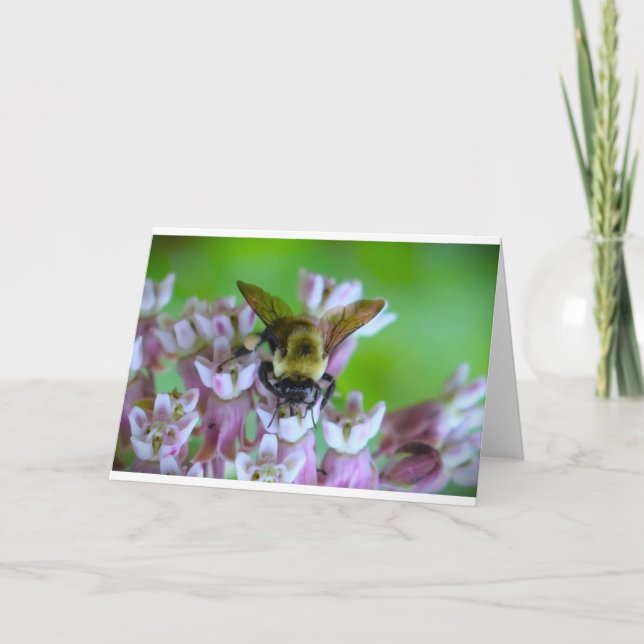 Abeja, tarjeta (Anverso)