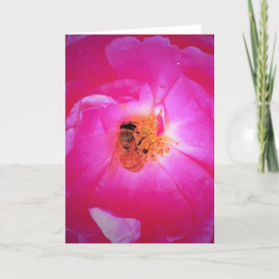 Abeja, tarjeta