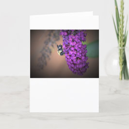 Abeja, tarjeta