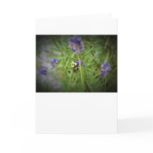 Abeja, tarjeta