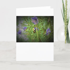 Abeja, tarjeta