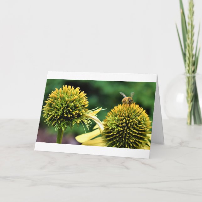 Abeja, tarjeta (Anverso)