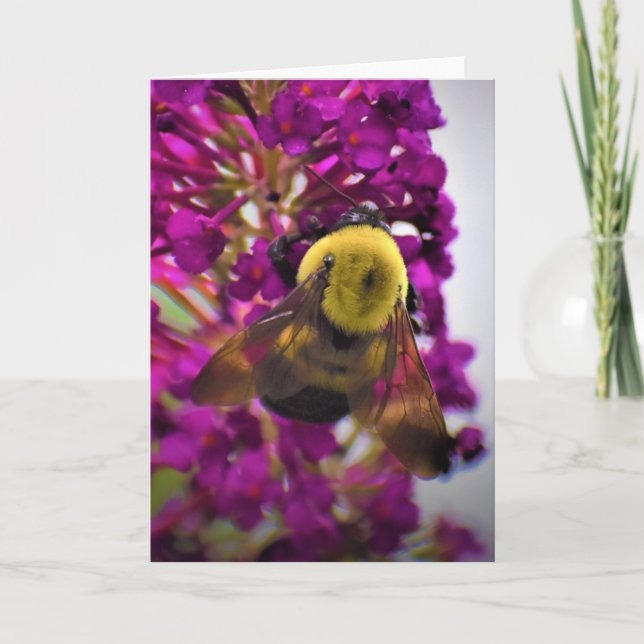 Abeja, tarjeta (Anverso)