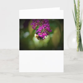 Abeja, tarjeta