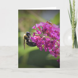 Abeja, tarjeta
