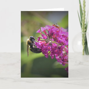 Abeja, tarjeta
