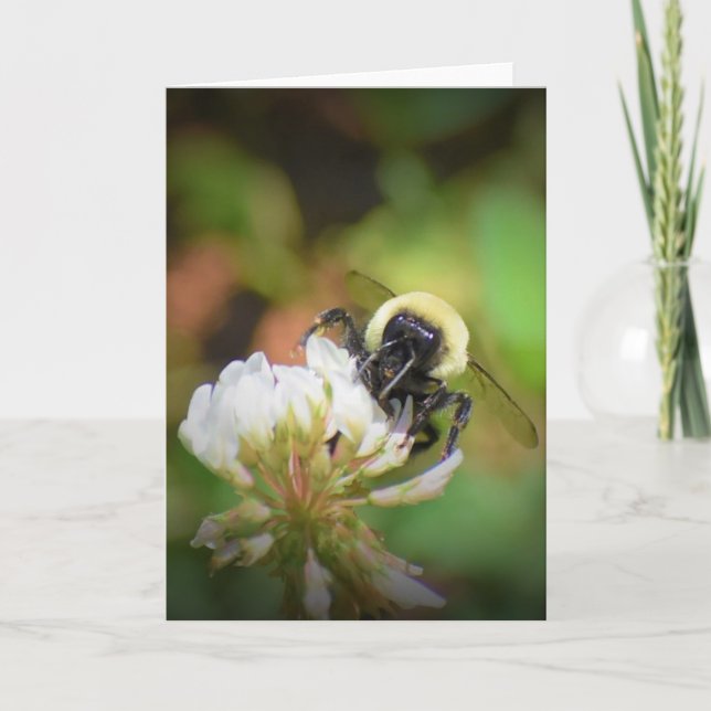 Abeja, tarjeta (Anverso)