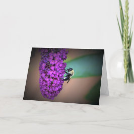 Abeja, tarjeta
