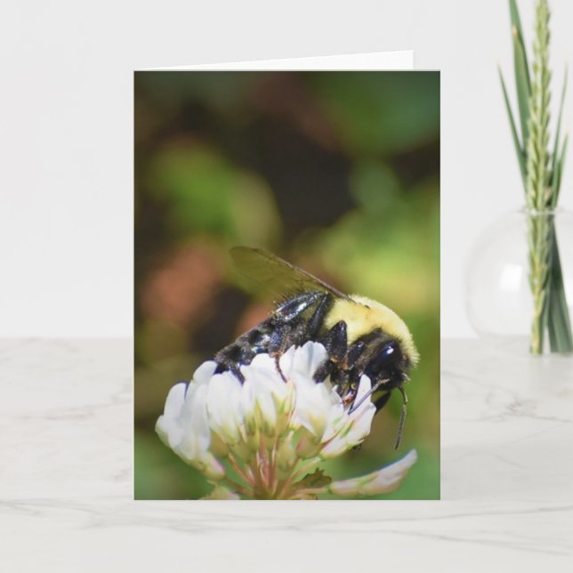 Abeja, tarjeta (Anverso)