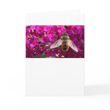 Abeja, tarjeta