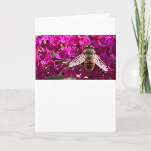 Abeja, tarjeta