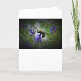 Abeja, tarjeta