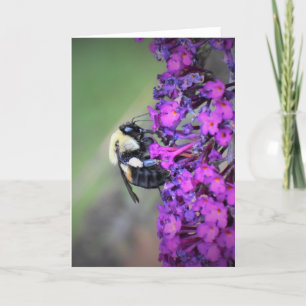 Abeja, tarjeta