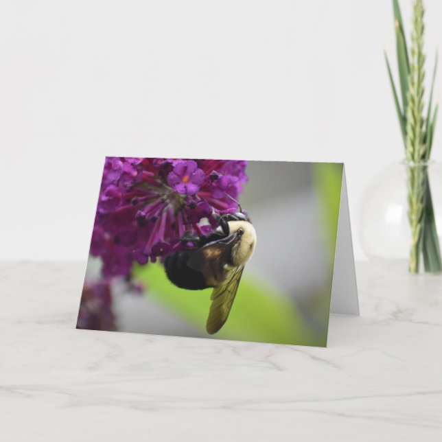 Abeja, tarjeta (Anverso)