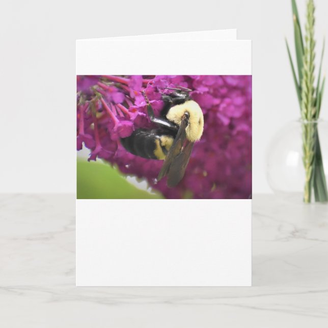 Abeja, tarjeta (Anverso)