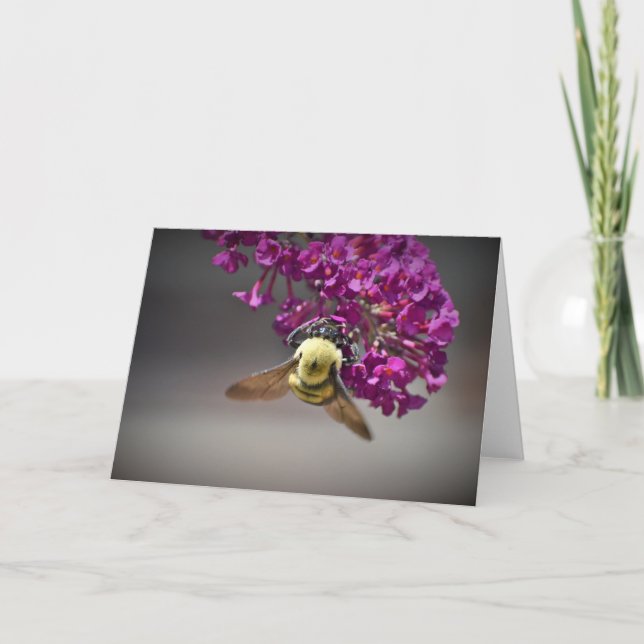 Abeja, tarjeta (Anverso)