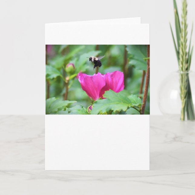 Abeja, tarjeta (Anverso)