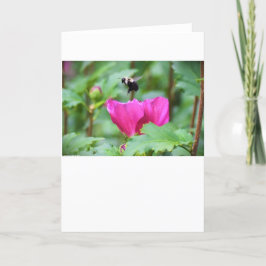 Abeja, tarjeta