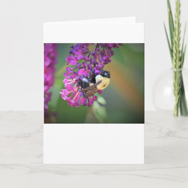 Abeja, tarjeta (Anverso)