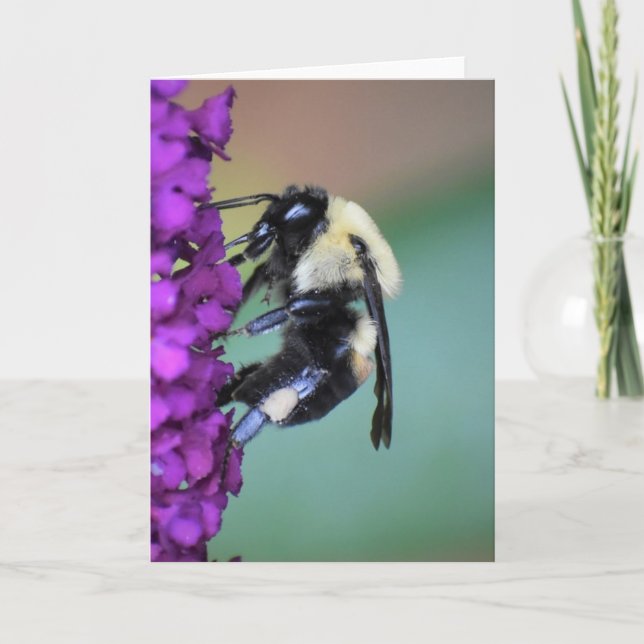 Abeja, tarjeta (Anverso)