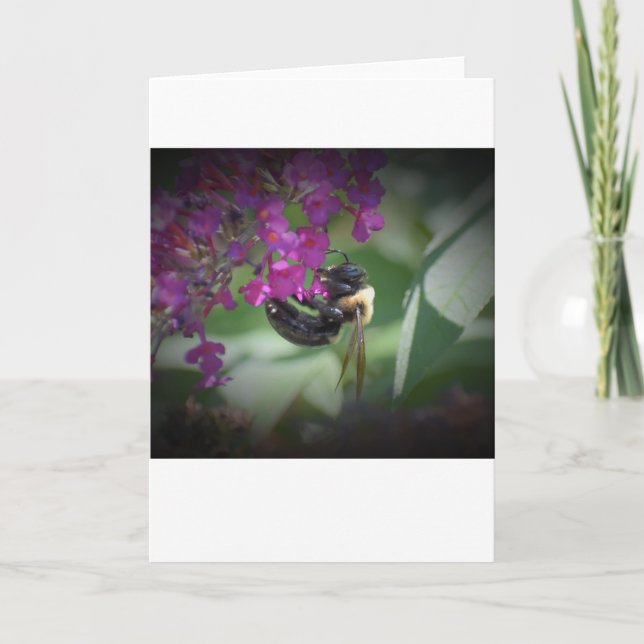 Abeja, tarjeta (Anverso)