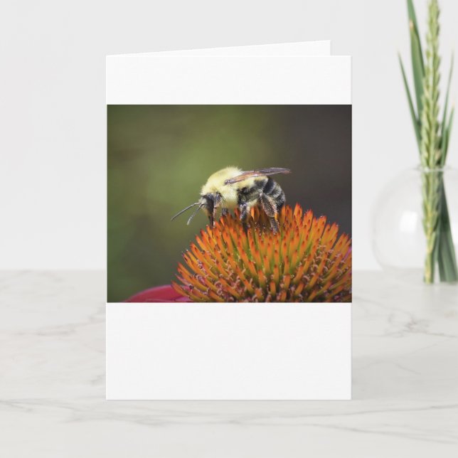 Abeja, tarjeta (Anverso)