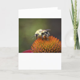 Abeja, tarjeta