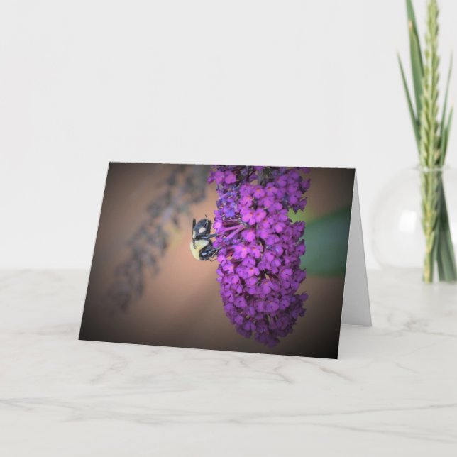 Abeja, tarjeta (Anverso)