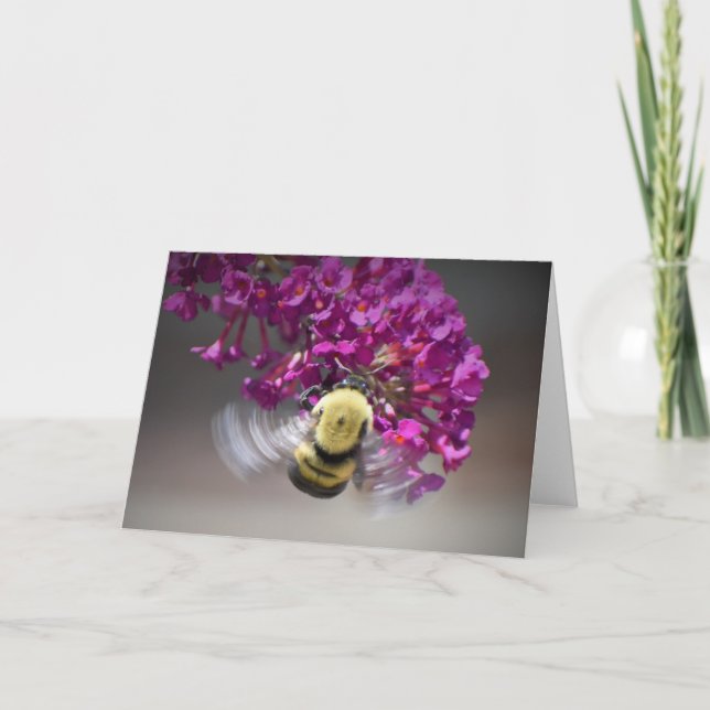 Abeja, tarjeta (Anverso)
