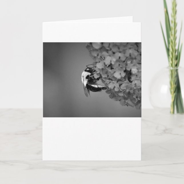 Abeja, tarjeta (Anverso)