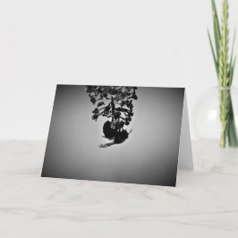 Abeja, tarjeta