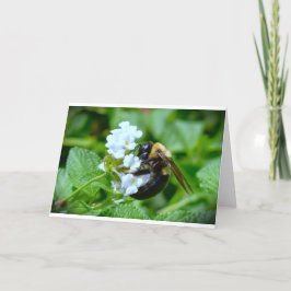 Abeja, tarjeta