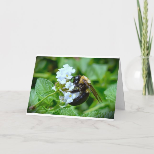 Abeja, tarjeta (Anverso)