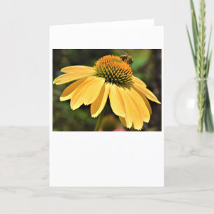 Abeja, tarjeta