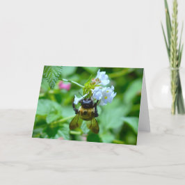 Abeja, tarjeta