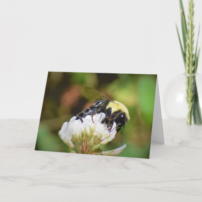 Abeja, tarjeta (Anverso)