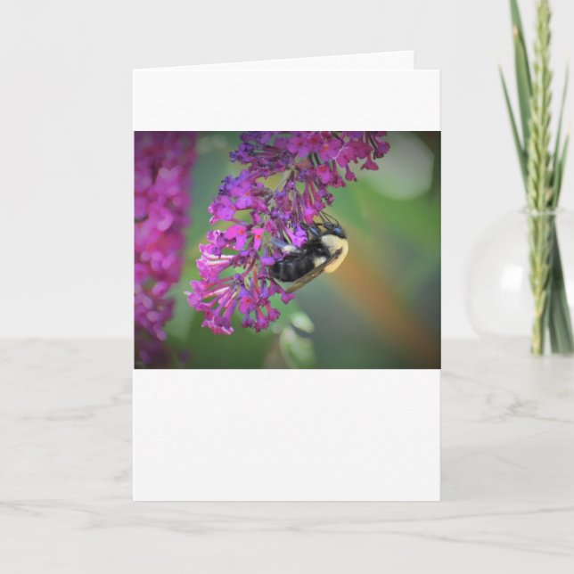Abeja, tarjeta (Anverso)