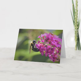 Abeja, tarjeta