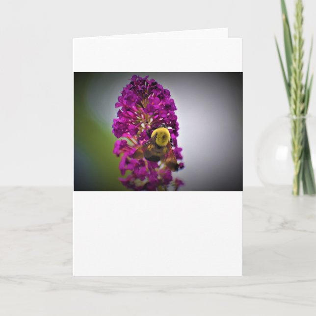 Abeja, tarjeta (Anverso)