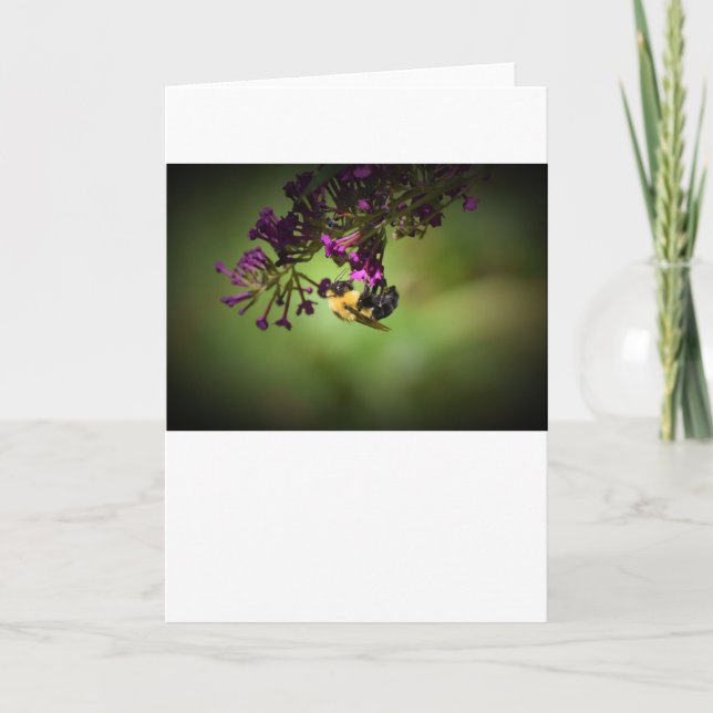 Abeja, tarjeta (Anverso)