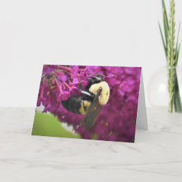 Abeja, tarjeta