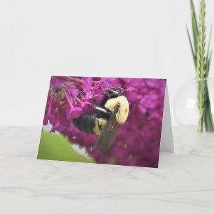 Abeja, tarjeta