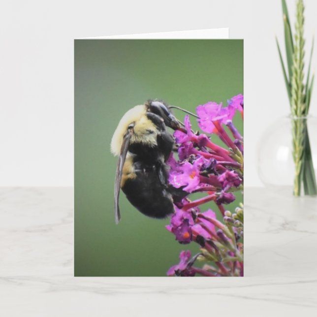 Abeja, tarjeta (Anverso)