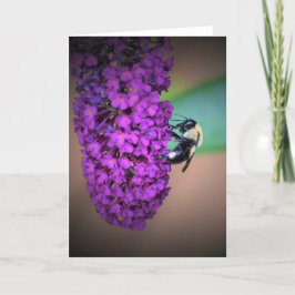 Abeja, tarjeta