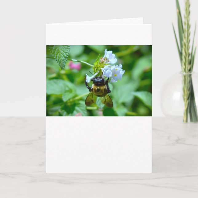 Abeja, tarjeta (Anverso)