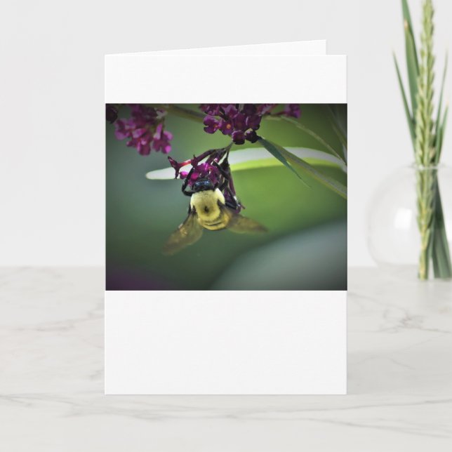Abeja, tarjeta (Anverso)