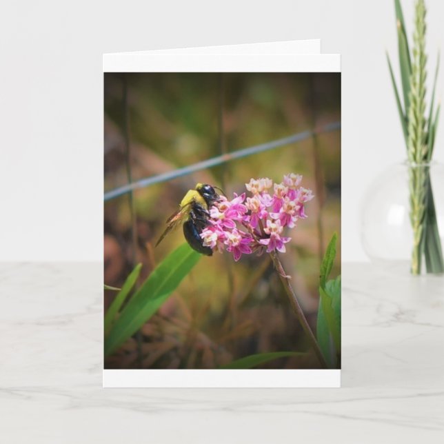 Abeja, tarjeta (Anverso)